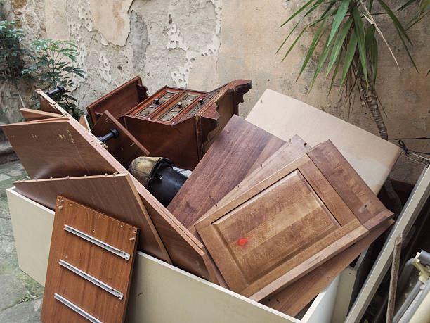 Best Junk Removal Near Me  in Lexington, MI